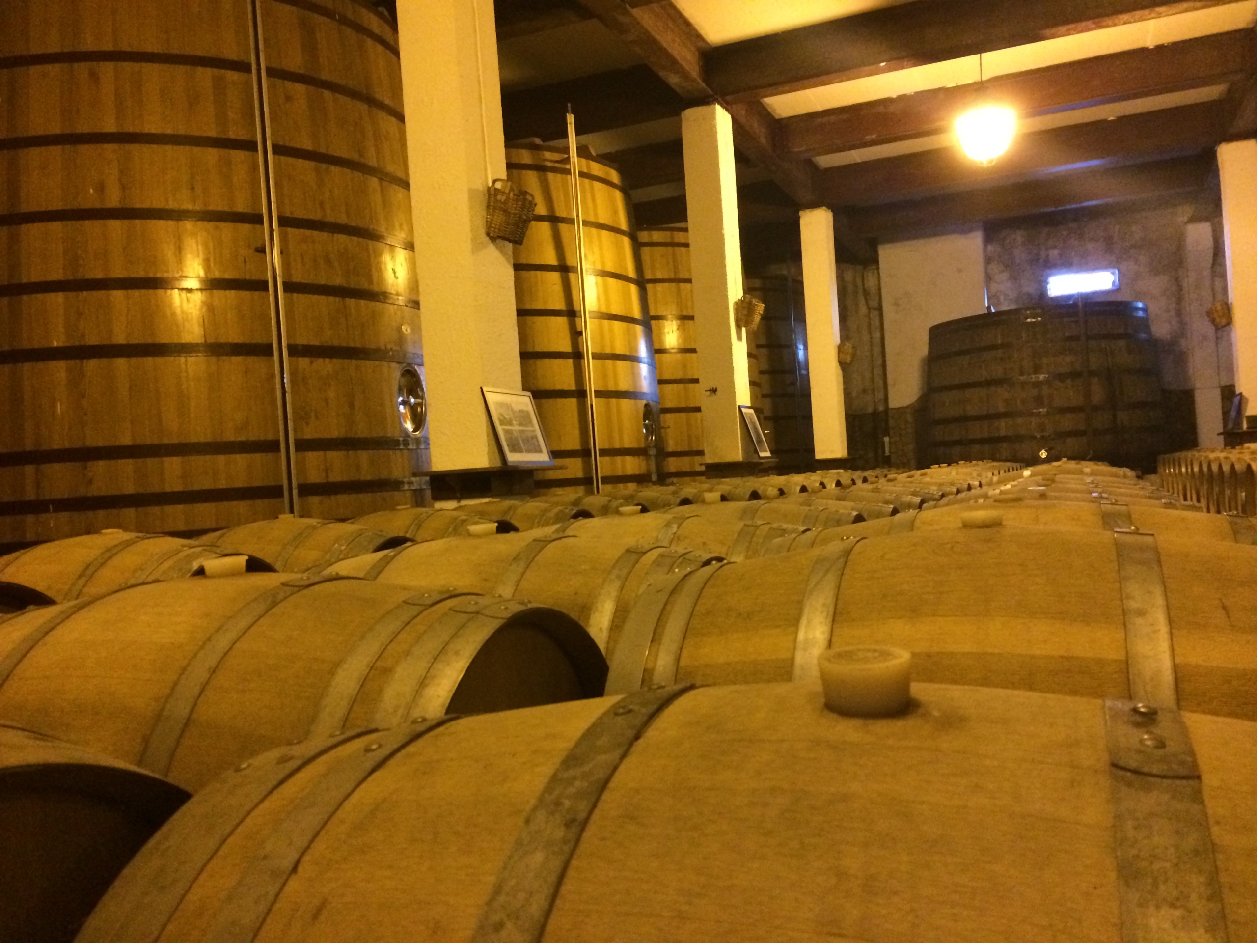 Social Programme Visit